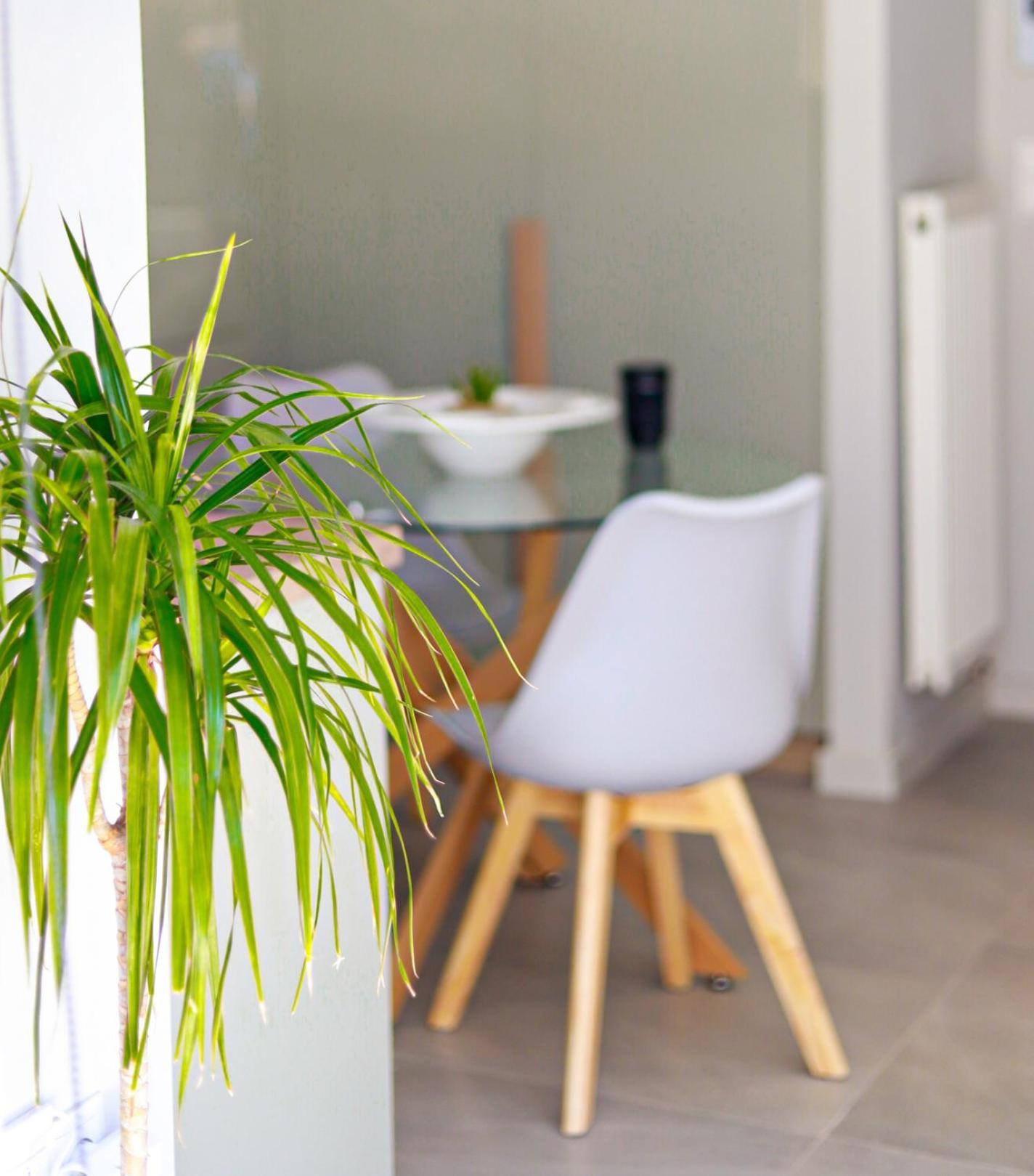Cutie Studio Apartment In Koukaki Athens Exterior photo